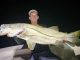 Brandon Luke caught this snook at the Sebastian Inlet.