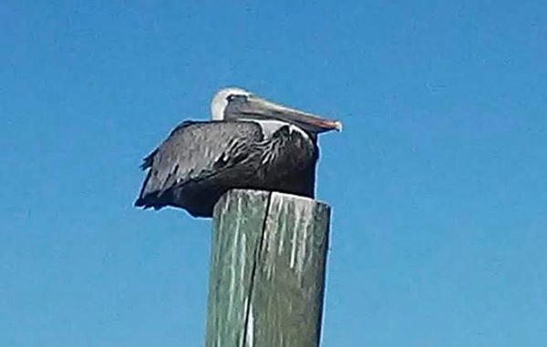 Christmas Day weather in Sebastian, Florida.