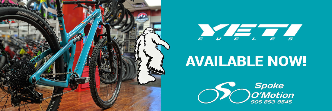 Image with missing alt attribute found on spokeomotion.com