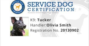 Image with missing alt attribute found on servicedogcertifications.org