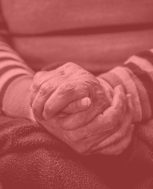 Image with missing alt attribute found on sevilla.org