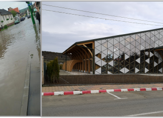 Image with missing alt attribute found on sfin.ro