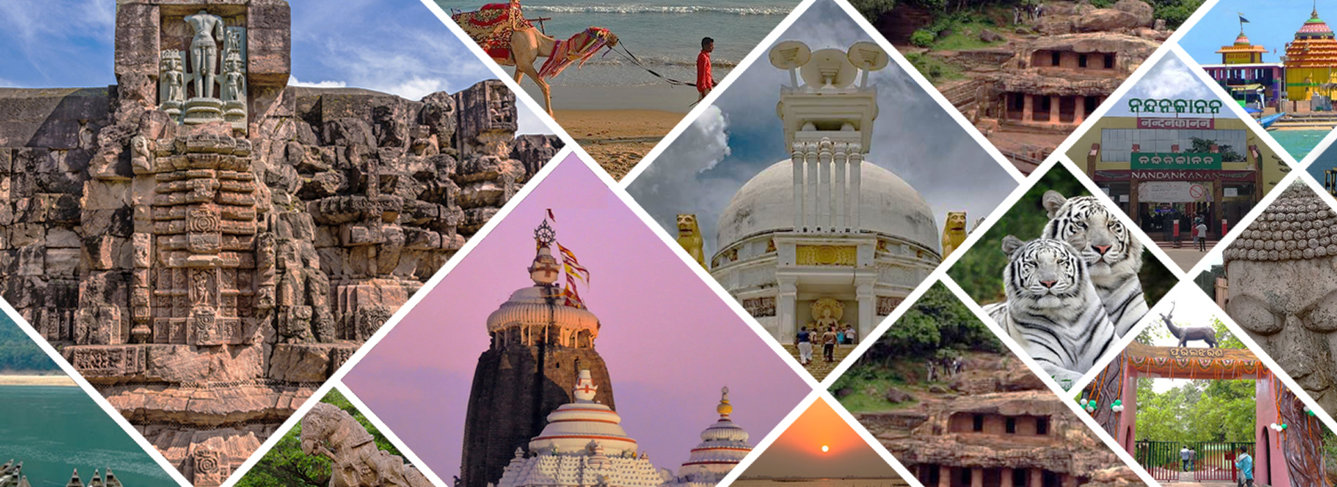 Image with missing alt attribute found on sgholidaystour.com