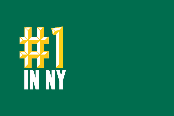 Image with missing alt attribute found on siena.edu