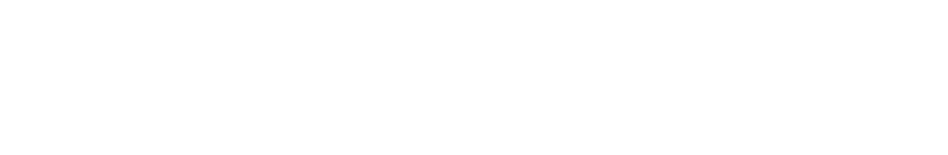 Image with missing alt attribute found on silvacast.com