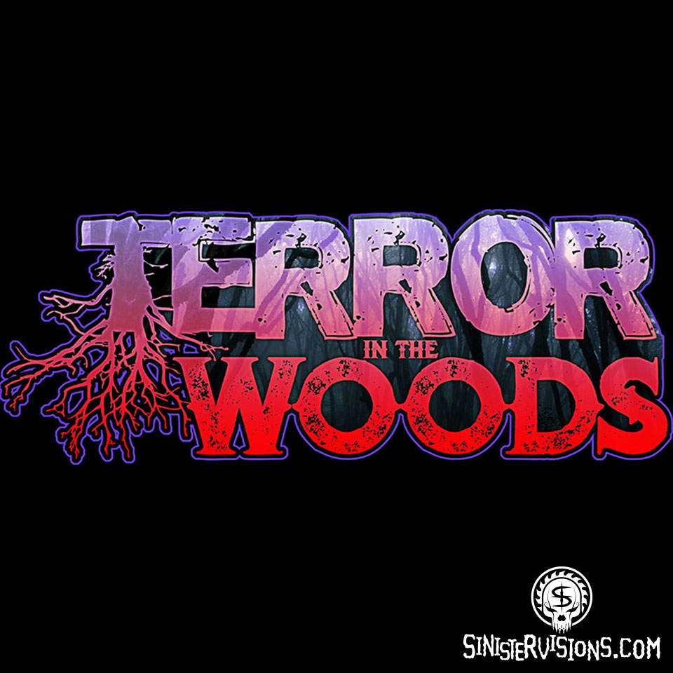 Image with missing alt attribute found on sinistervisions.com