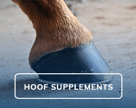 Image with missing alt attribute found on smartpakequine.com