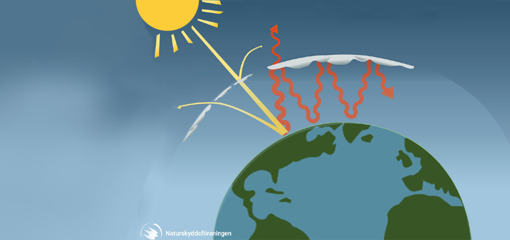 Image with missing alt attribute found on so-rummet.se