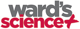 Ward's Science