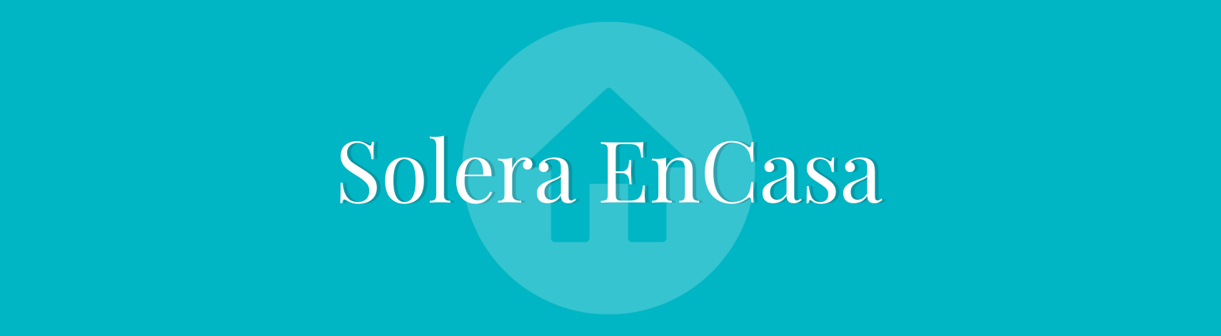 Image with missing alt attribute found on soleraasistencial.es