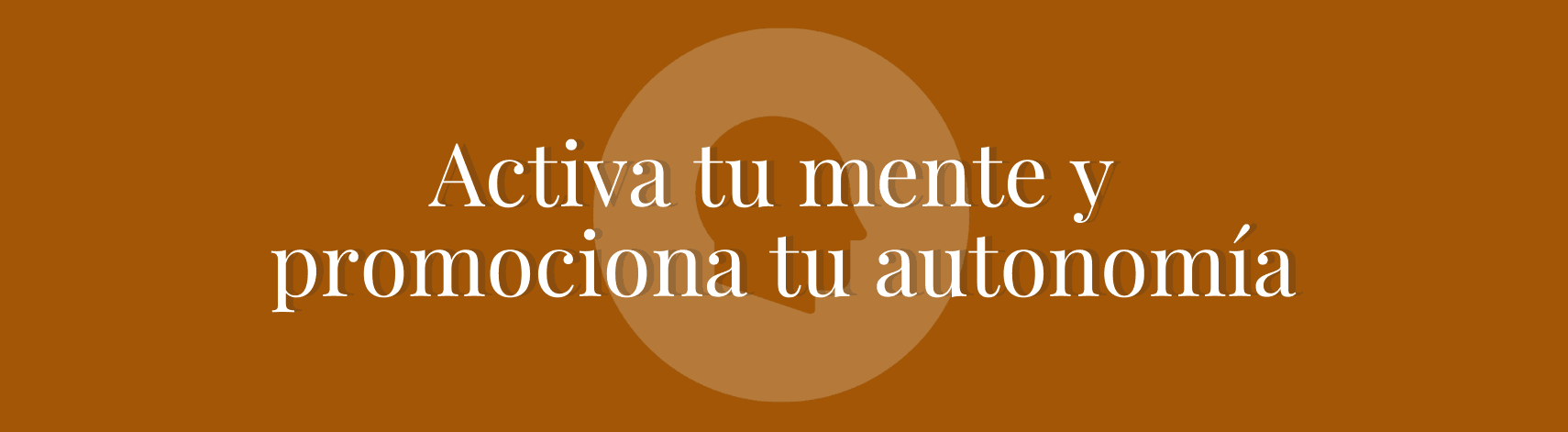 Image with missing alt attribute found on soleraasistencial.es