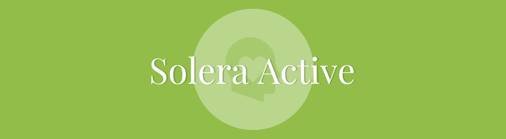 Image with missing alt attribute found on soleraasistencial.es