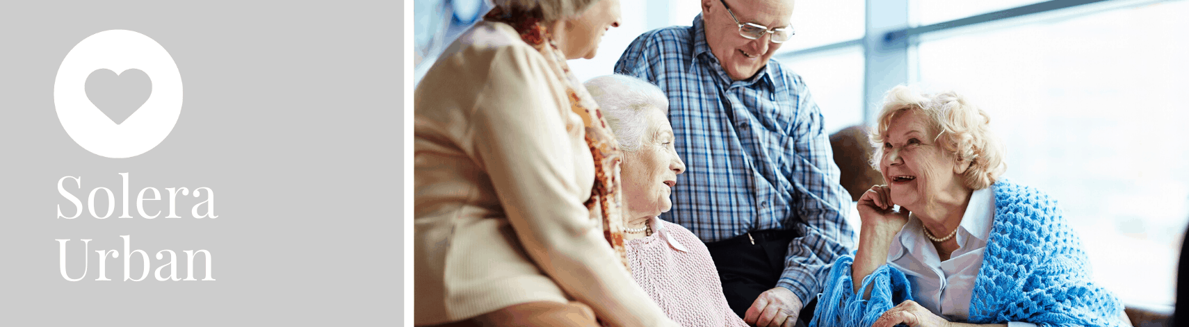 Image with missing alt attribute found on soleraasistencial.es