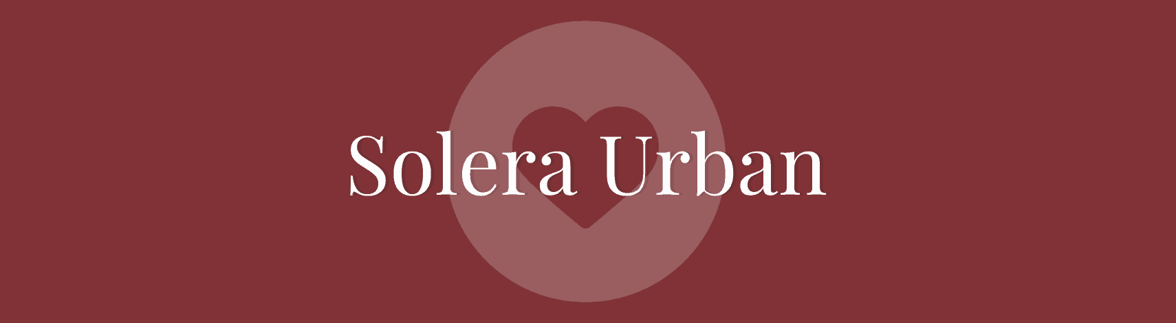 Image with missing alt attribute found on soleraasistencial.es