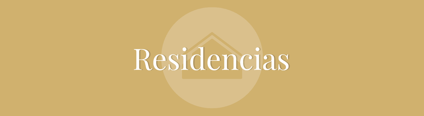 Image with missing alt attribute found on soleraasistencial.es