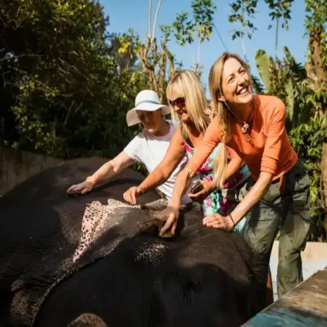 Image with missing alt attribute found on sostraveltoindia.com