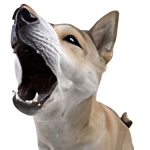 Image with missing alt attribute found on soundboard.com