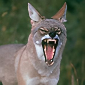 Image with missing alt attribute found on soundboard.com