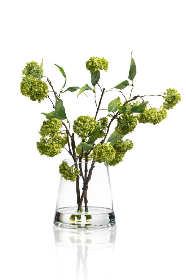 Image with missing alt attribute found on srclipping.com