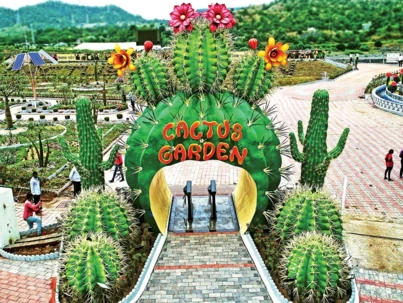 Cactus Garden 2.jpg