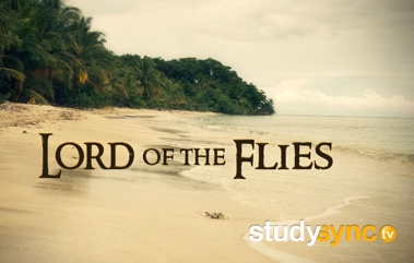 Image with missing alt attribute found on studysync.com