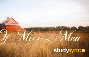 Image with missing alt attribute found on studysync.com