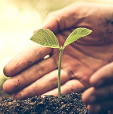 Image with missing alt attribute found on subway.com