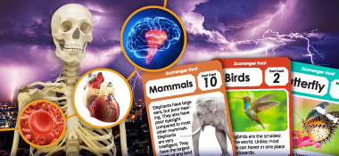 Image with missing alt attribute found on superteacherworksheets.com