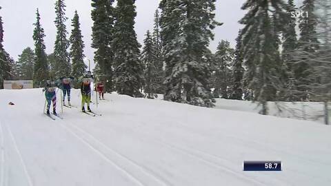 Image with missing alt attribute found on svtplay.se