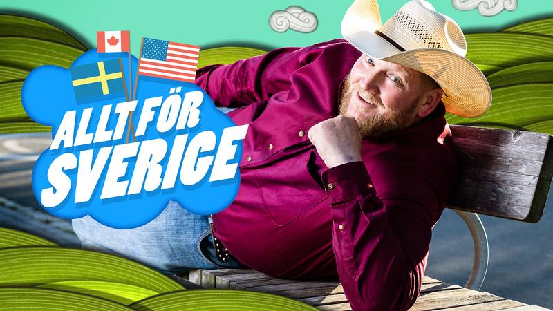 Image with missing alt attribute found on svtplay.se