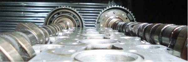 Image with missing alt attribute found on tallerity.com