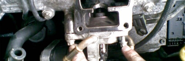 Image with missing alt attribute found on tallerity.com