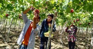 Image with missing alt attribute found on tapchihangkhong.com