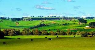 Image with missing alt attribute found on tapchihangkhong.com