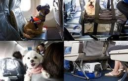 Image with missing alt attribute found on tapchihangkhong.com