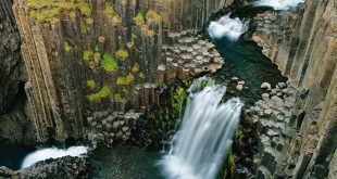 Image with missing alt attribute found on tapchihangkhong.com