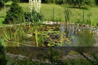 Image with missing alt attribute found on teich-profi.de