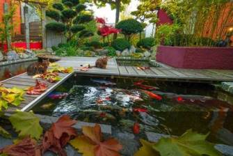 Image with missing alt attribute found on teich-profi.de