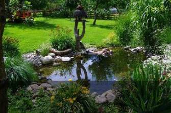 Image with missing alt attribute found on teich-profi.de