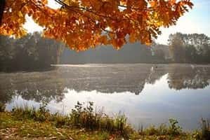 Image with missing alt attribute found on teich-profi.de