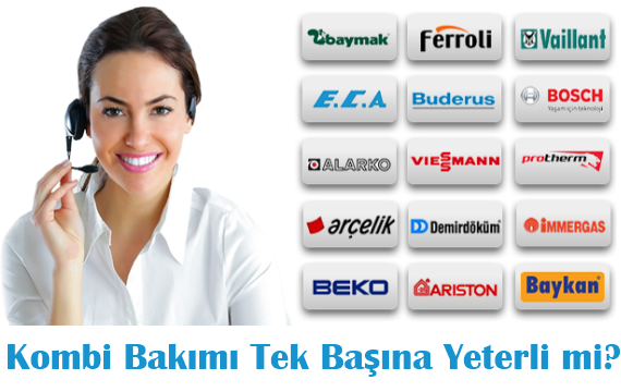 Image with missing alt attribute found on temizpetek.net