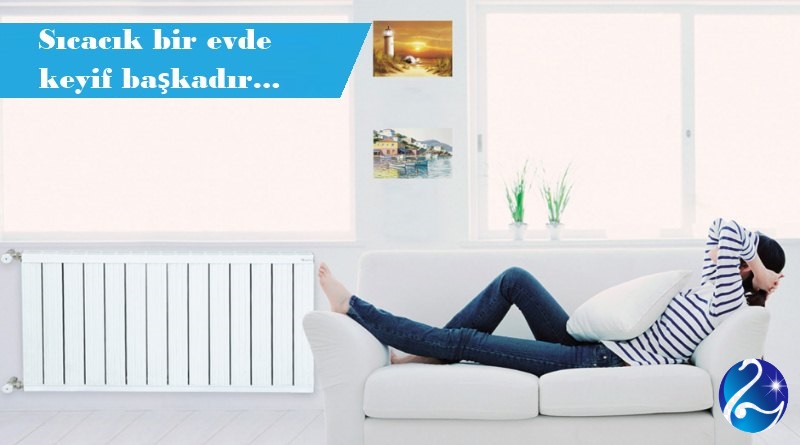 Image with missing alt attribute found on temizpetek.net