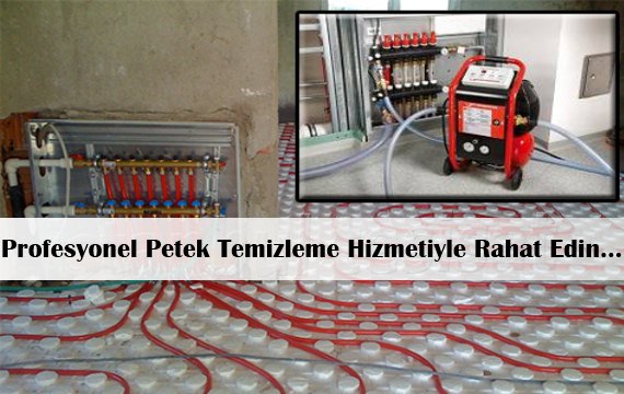 Image with missing alt attribute found on temizpetek.net