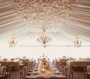 Image with missing alt attribute found on tentsgalaxy.com