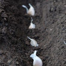 Image with missing alt attribute found on theartofdoingstuff.com