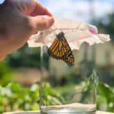 Image with missing alt attribute found on theartofdoingstuff.com