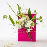 Image with missing alt attribute found on theartofdoingstuff.com