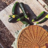 Image with missing alt attribute found on theartofdoingstuff.com