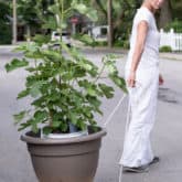 Image with missing alt attribute found on theartofdoingstuff.com