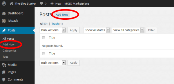 Image with missing alt attribute found on theblogstarter.com